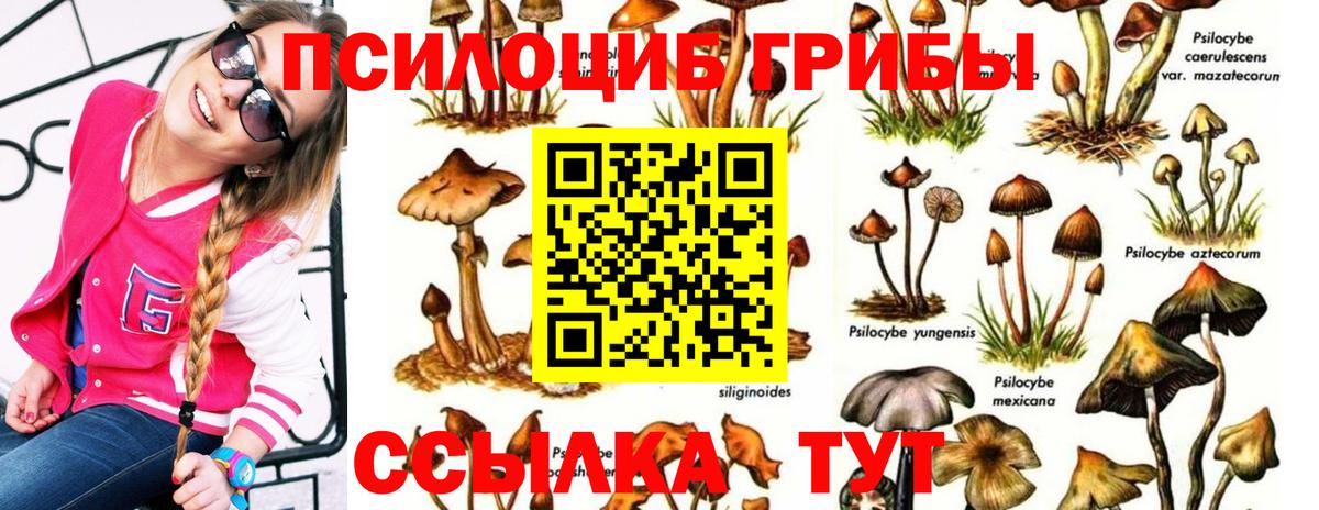 Псилоцибиновые грибы ЛСД Ртищево