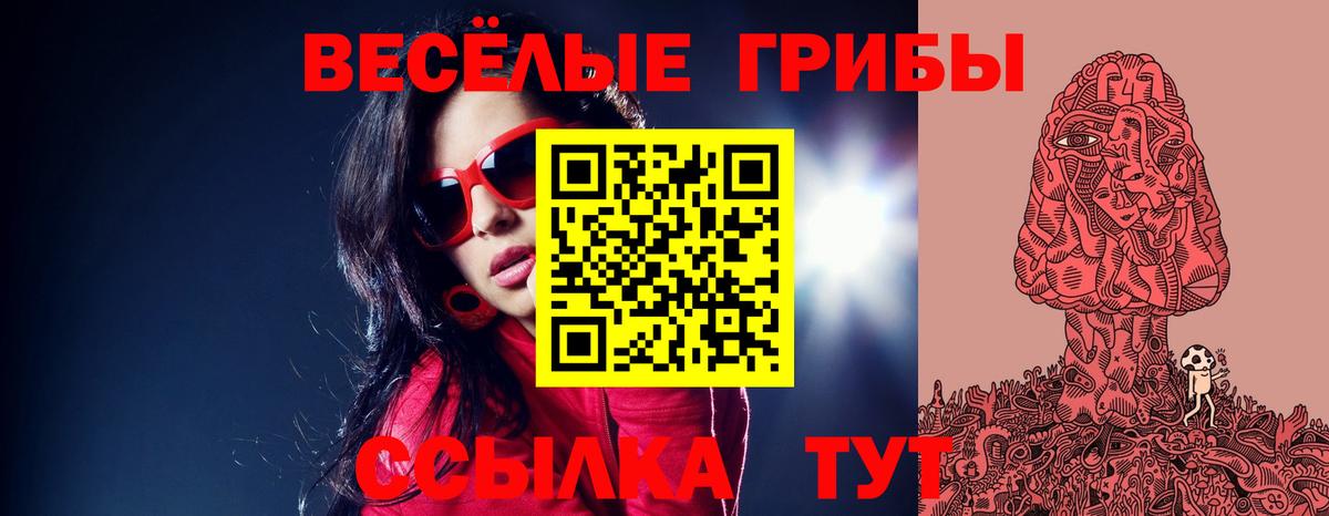 Галлюциногенные грибы Cubensis  Вход с VPN  Псилоцибиновые грибы Psilocybe  где найти наркотики  Ртищево 